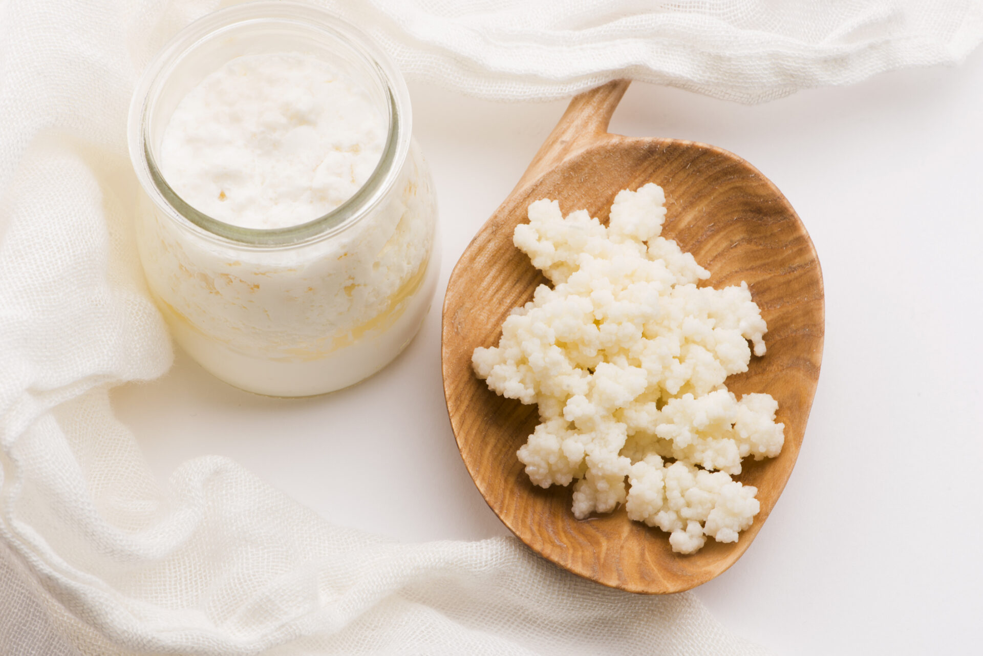 Milk kefir grains in spoon. Yeast bacterial fermentation starter