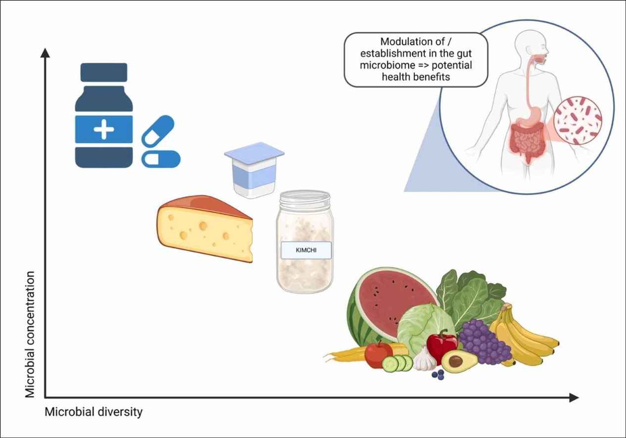 1-s2.0-S2214799325000864-ga1_lrg