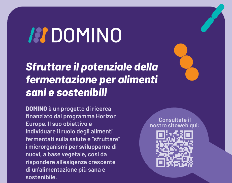 domino poster italian
