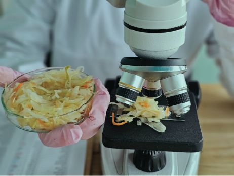 website_DOMINO-research-page