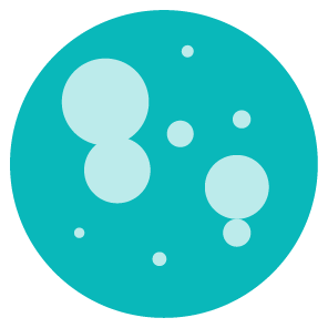 Domino_card_Microorganism_Mould