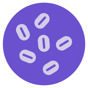 Domino_card_Microorganism_Yeasts