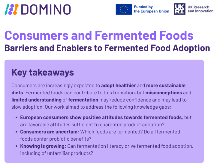 Consumer insights_DOMINO factsheet (2)